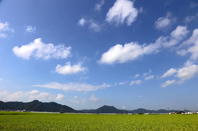 a0242438_17295588.jpg