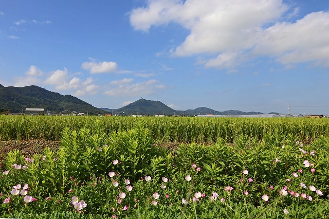 a0242438_17301594.jpg