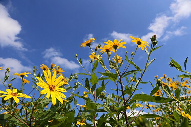 a0242438_17302028.jpg