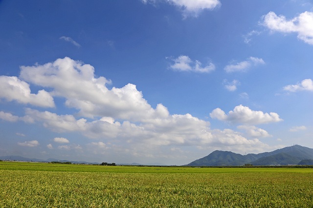 a0242438_17314264.jpg