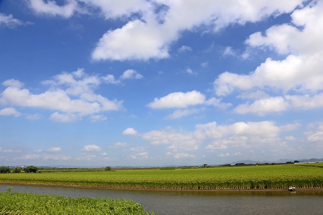 a0242438_17315967.jpg