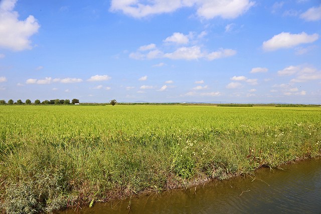 a0242438_17321198.jpg