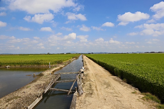 a0242438_1732167.jpg