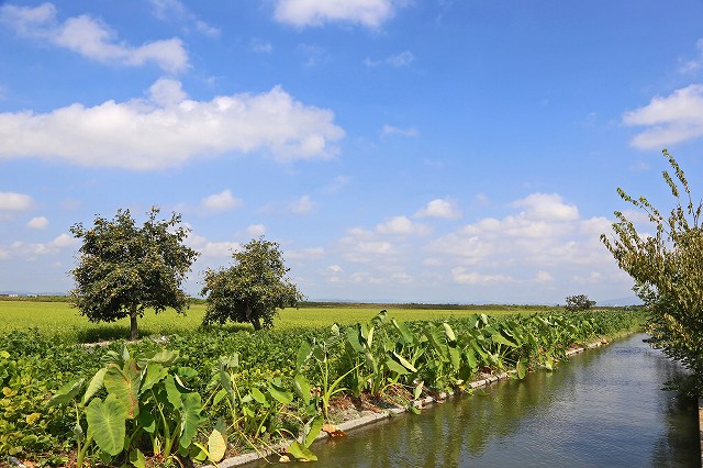 a0242438_1732376.jpg