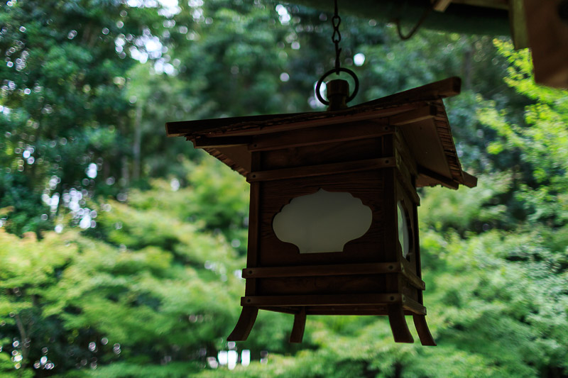 秋の特別公開・大徳寺本坊と孤篷庵へ・・しかし_b0325840_23533476.jpg