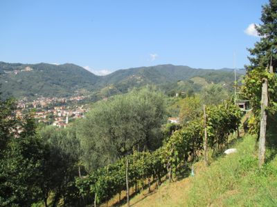 d0136540_1421582.jpg