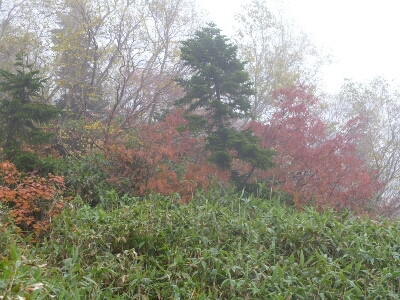 a0213742_6384368.jpg