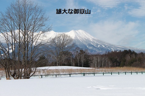 c0206342_2094575.jpg