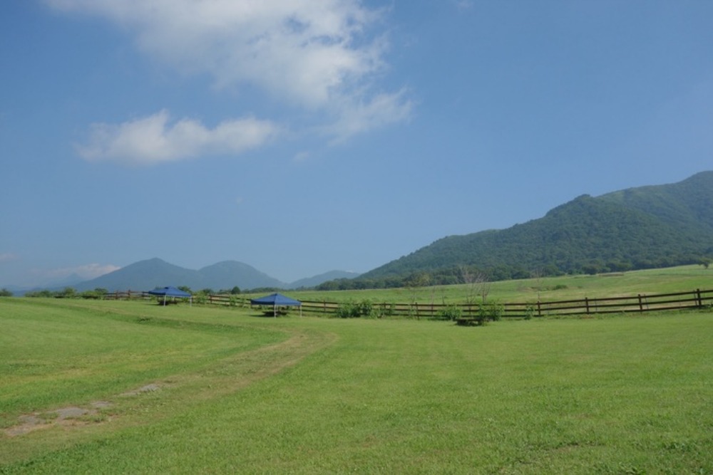 f0133847_16252725.jpg