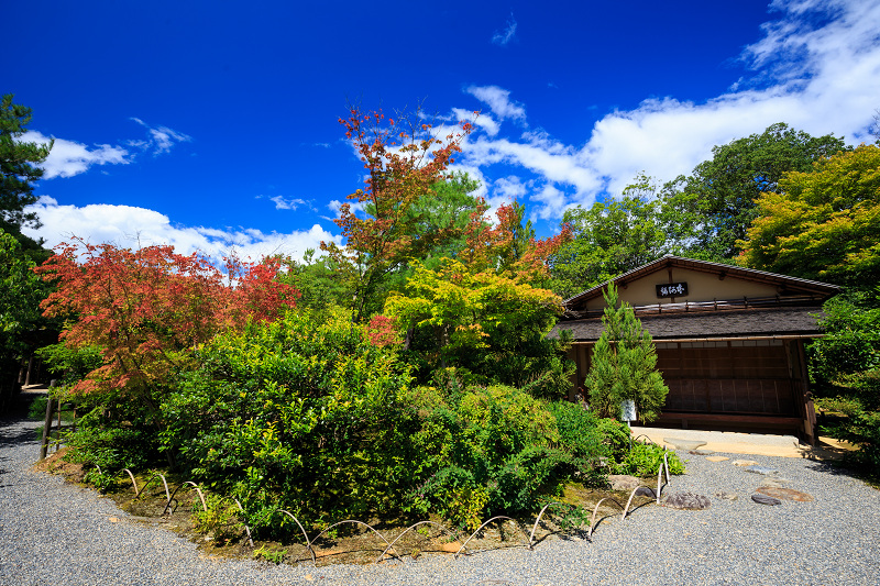 小さな秋（光悦寺）_f0155048_19274335.jpg