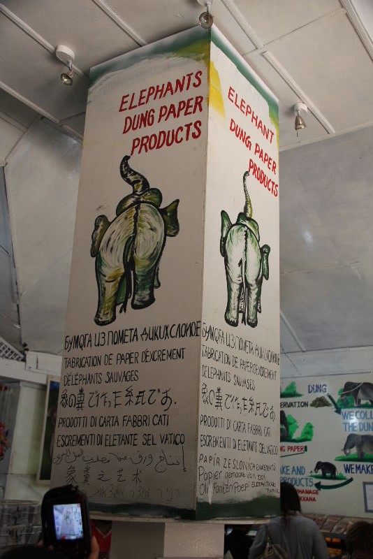 c0011649_357673.jpg