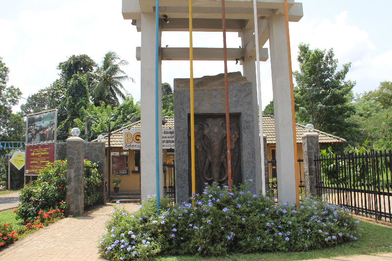 c0011649_4341044.jpg