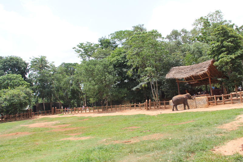 c0011649_4353526.jpg