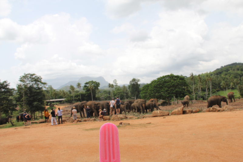 c0011649_4383837.jpg