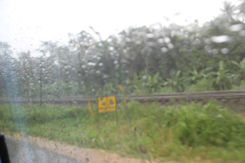 c0011649_6175495.jpg