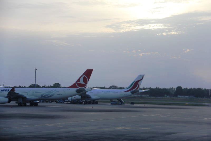 c0011649_6183768.jpg