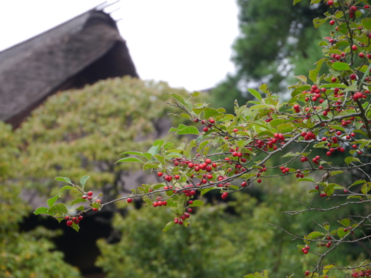 遠山記念館へ_d0267149_012246.jpg