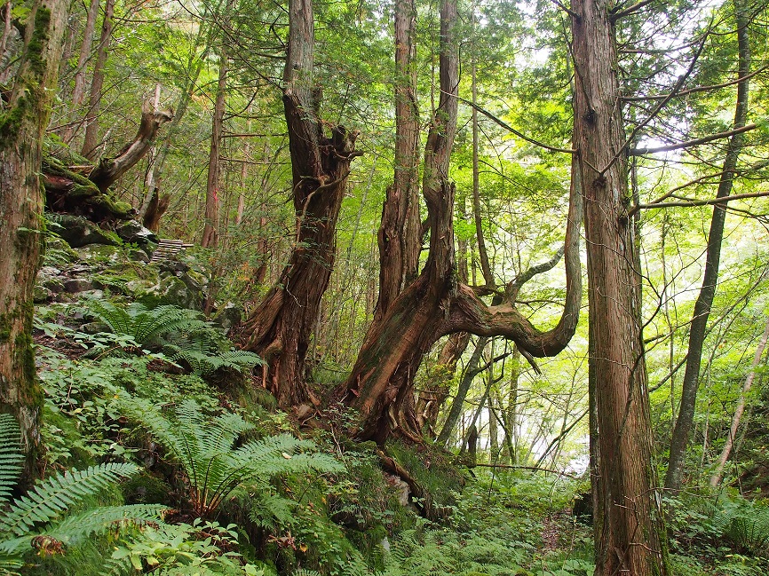 b0335256_17532628.jpg