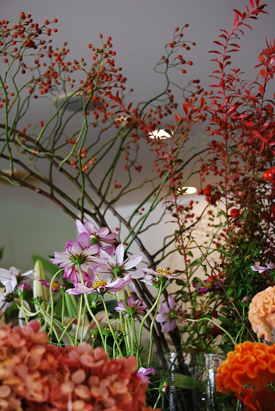 秋のお花 秋色は心ウキウキ♪_a0201358_1456241.jpg