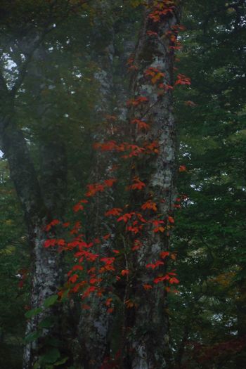 c0294658_20294842.jpg