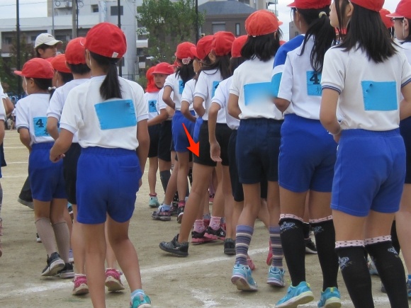 b0300759_21430415.png