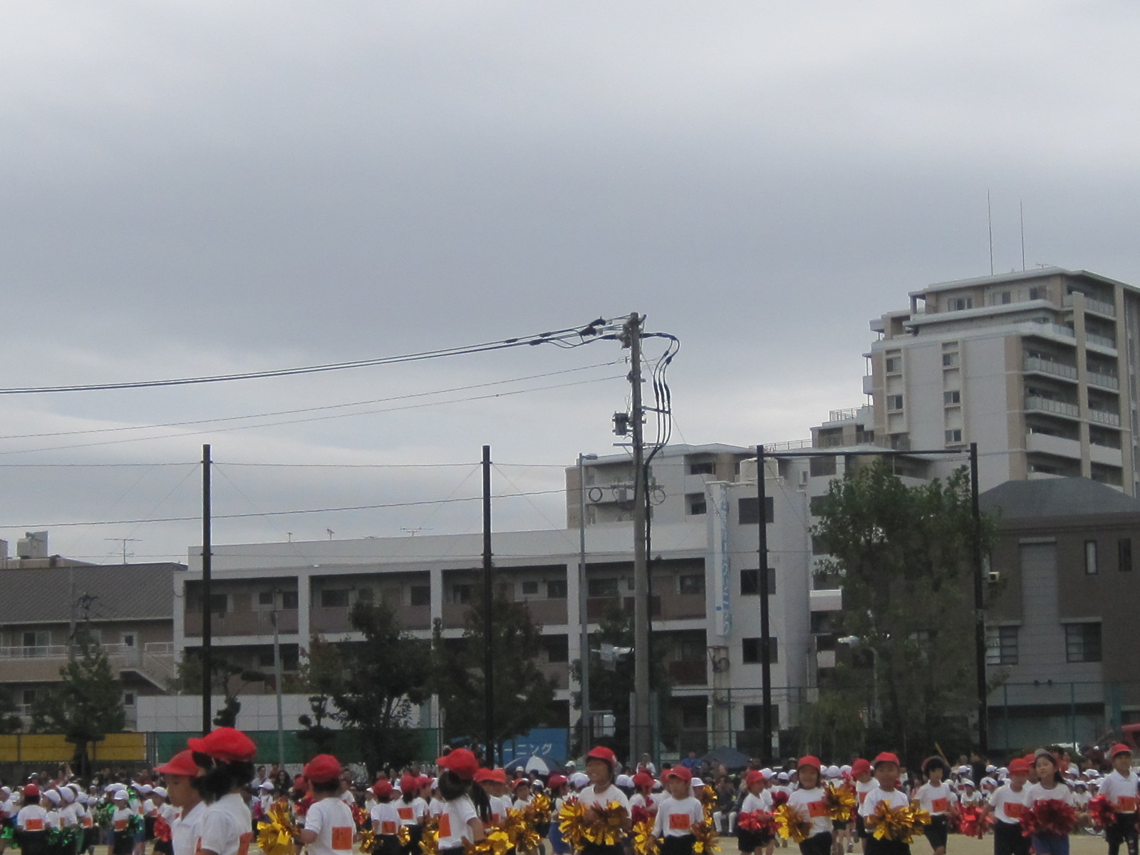 b0300759_21435718.jpg