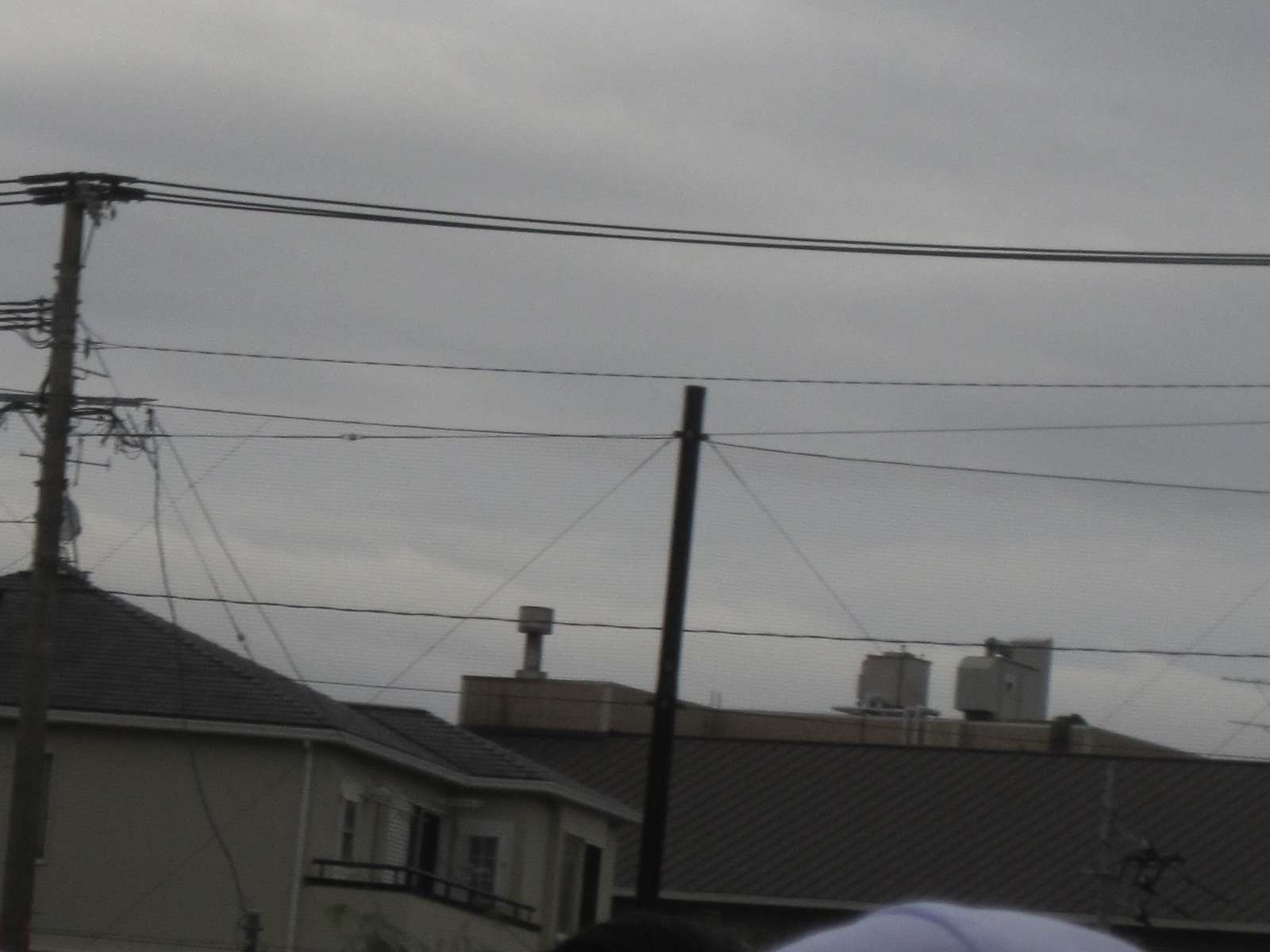 b0300759_21441714.jpg