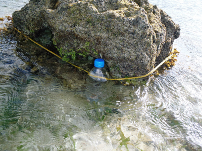 c0180460_1783153.jpg