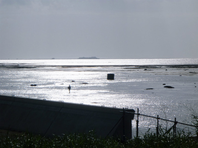 c0180460_1793118.jpg
