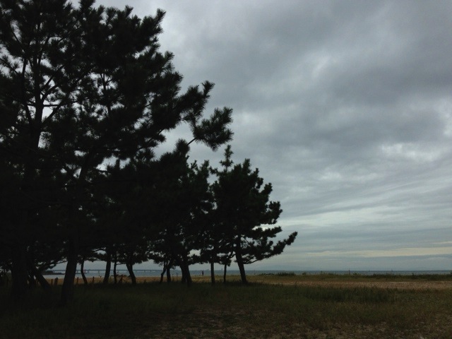 f0110760_1130820.jpg