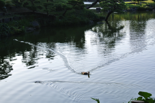 c0080861_11342063.jpg
