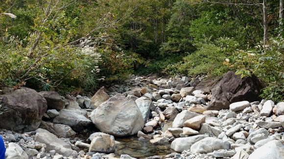 a0266370_13144118.jpg