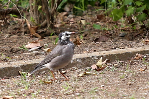 d0262476_84719.jpg