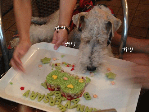 c0070377_0511816.gif