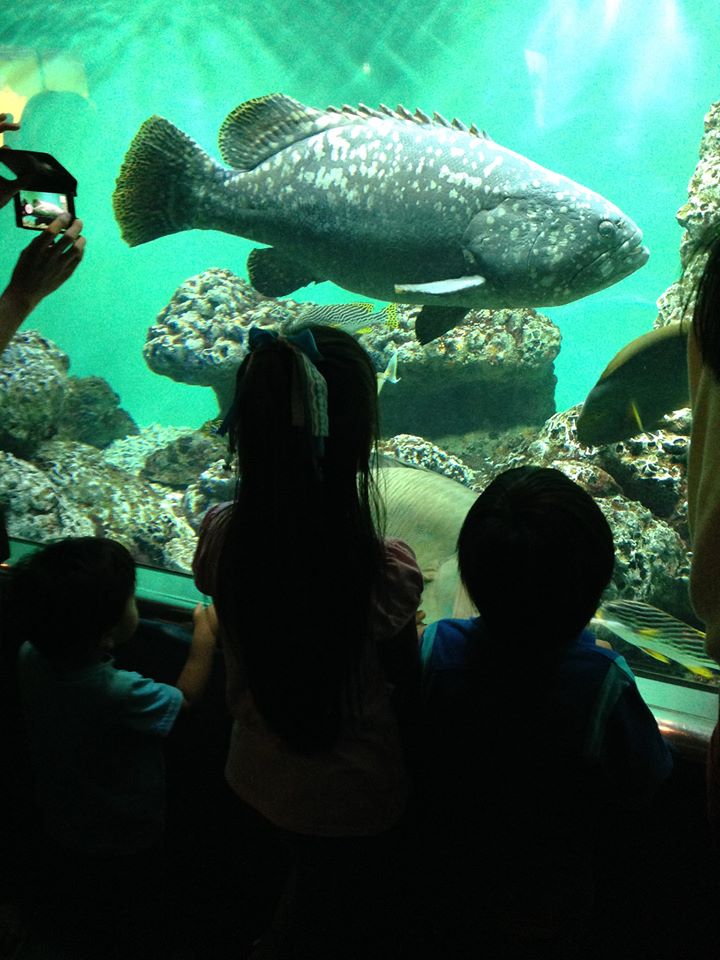 c0023278_5391554.jpg
