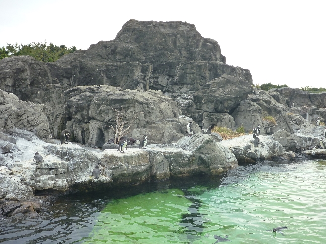 c0023278_5464767.jpg