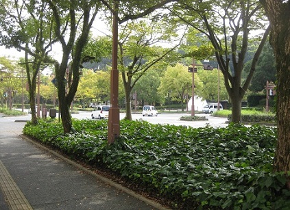 d0141078_0194034.jpg
