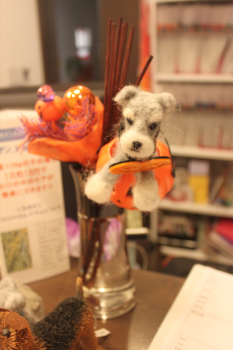 らむ動物病院、動物グッズ☆_c0245679_19343862.jpg