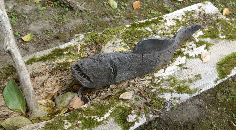 b0159780_1040414.gif