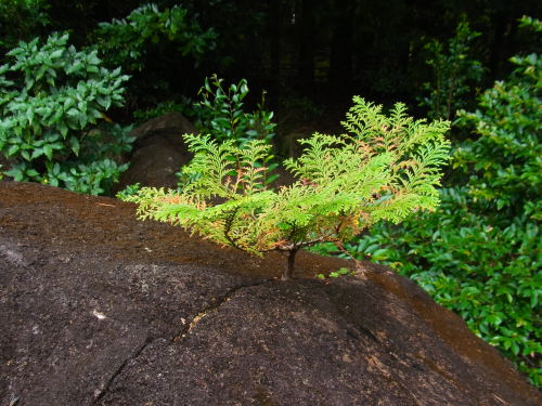f0348480_00120543.jpg