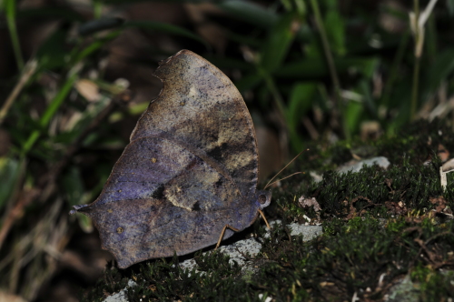 f0348480_00151233.jpg