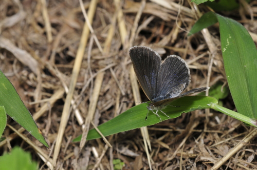 f0348480_00315697.jpg