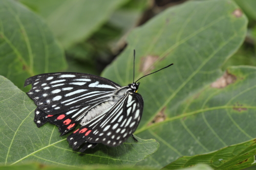 f0348480_00341093.jpg