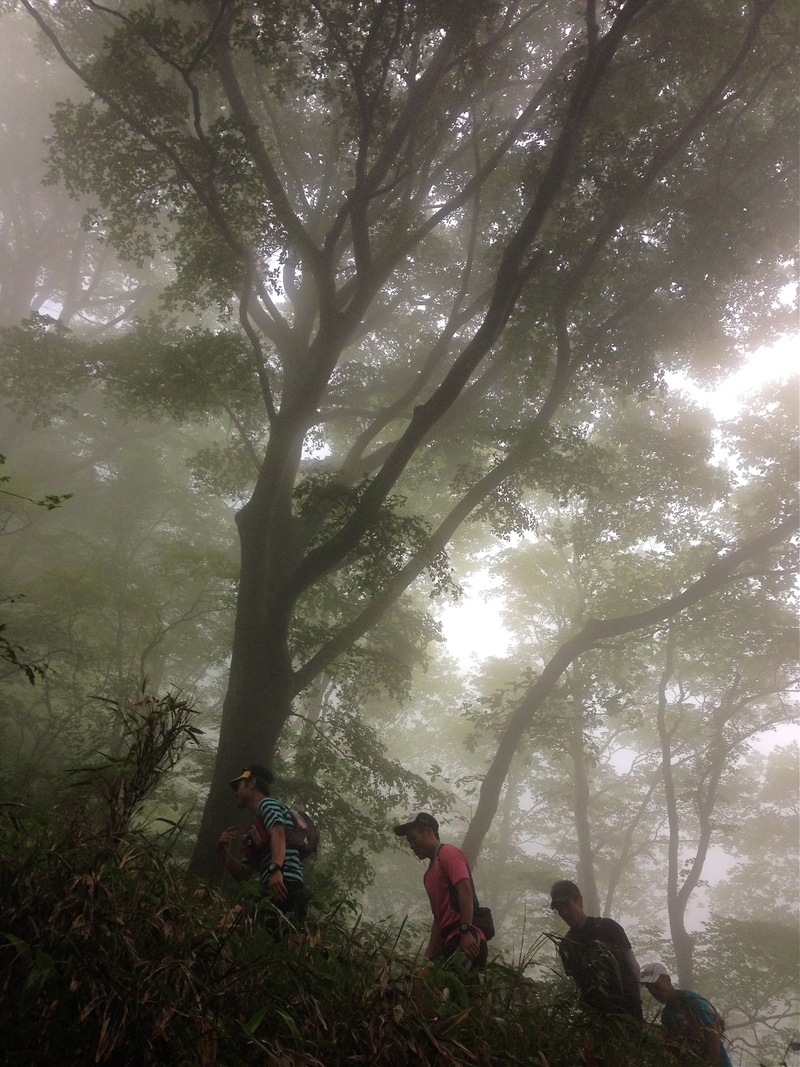 愛媛&岡山トリップ Day.1&2ー陣ヶ森ー 2014/07/05-06_b0220886_16472581.jpg