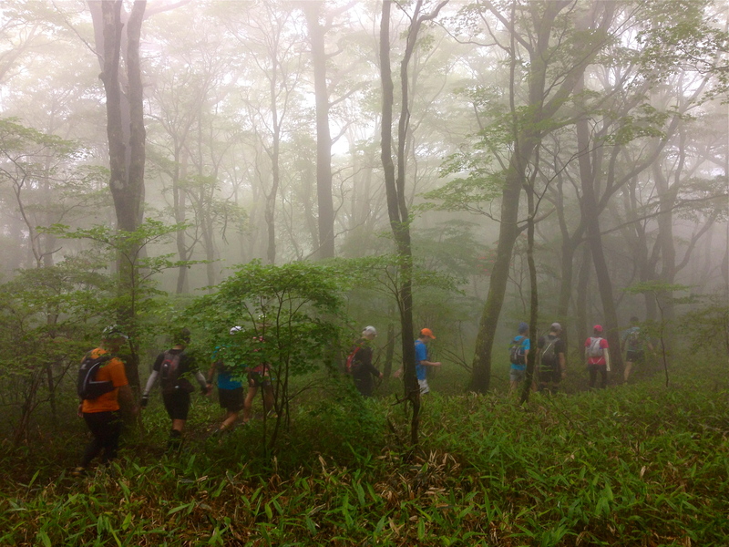 愛媛&岡山トリップ Day.1&2ー陣ヶ森ー 2014/07/05-06_b0220886_16473852.jpg