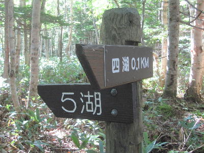 c0171889_19335277.jpg