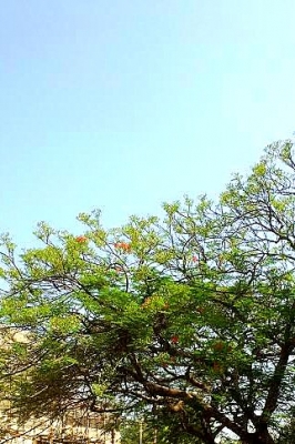 c0338191_00554004.jpg
