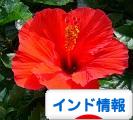 c0338191_00554247.jpg