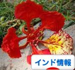 c0338191_01151034.jpg