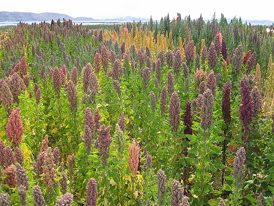 c0338191_01151140.jpg